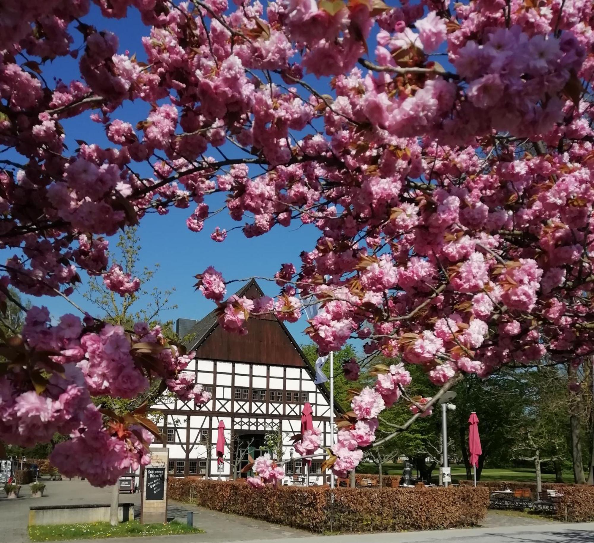 Hof Hueck Hotel Bad Sassendorf Bagian luar foto